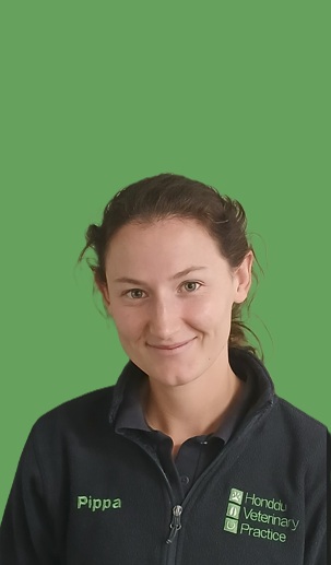 Pippa Wollen BVSc MRCVS
